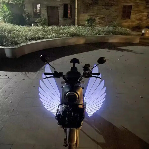 Angel Wings Dynamic Projection Light - 12V/24V (Pair)